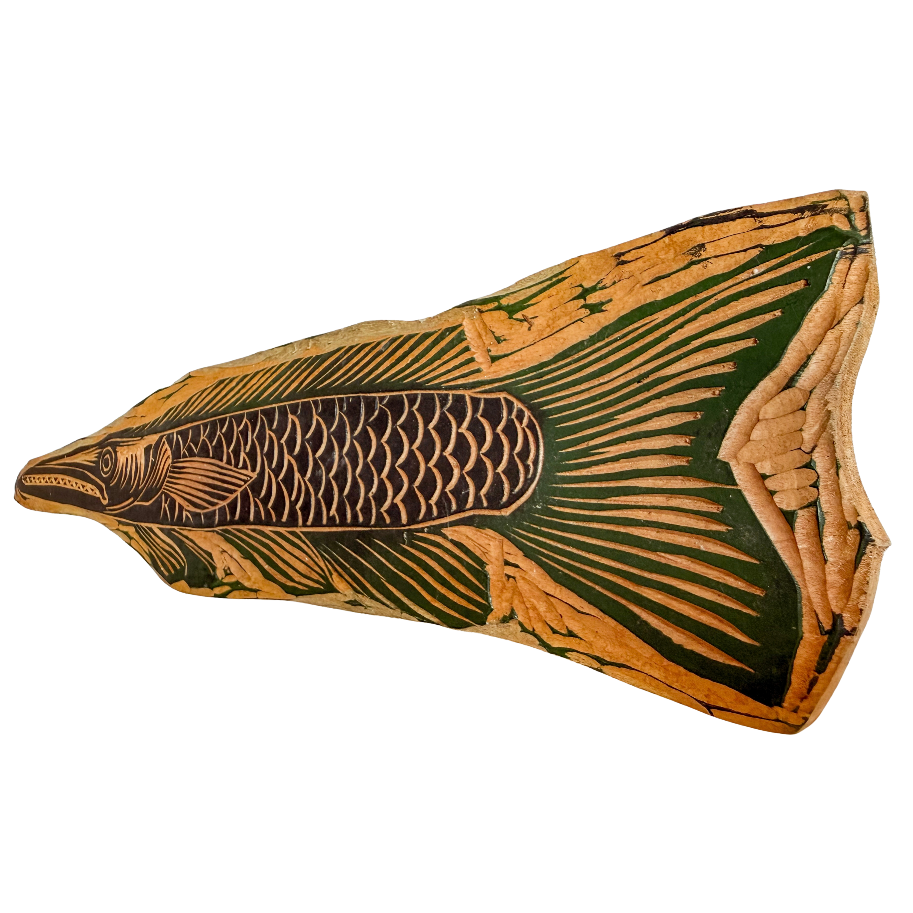 [BICUDA] - CORAL VIAJANTE