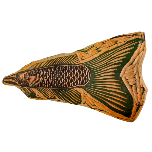 [BICUDA] - CORAL VIAJANTE